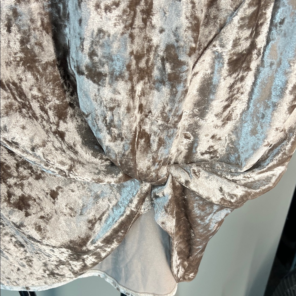 Hummingbird Silver-Taupe Crushed Velvet Twist Front Tee - Picture 4 of 6